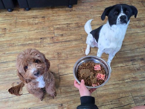 슬라이드 이미지