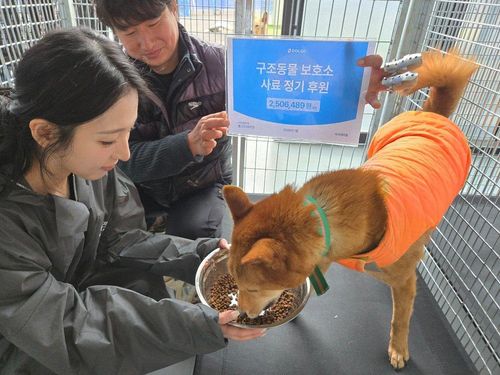 슬라이드 이미지