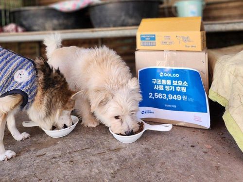 슬라이드 이미지