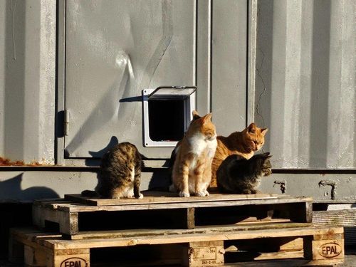 슬라이드 이미지