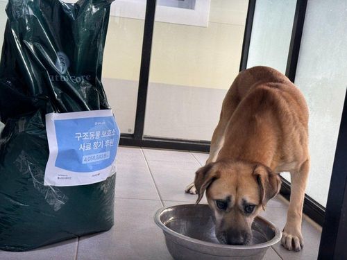 슬라이드 이미지