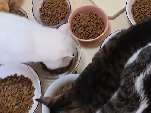 슬라이드 이미지