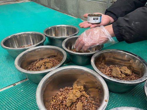 슬라이드 이미지