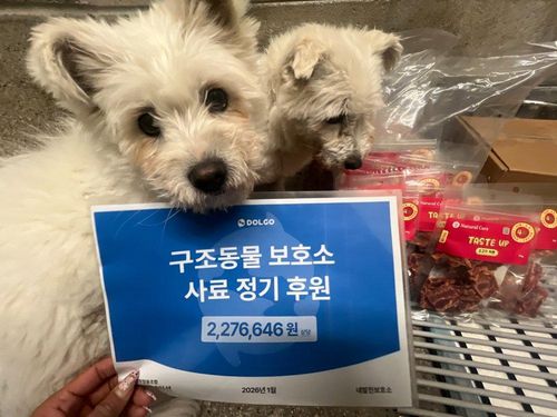 슬라이드 이미지