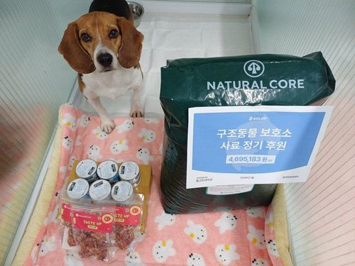 슬라이드 이미지