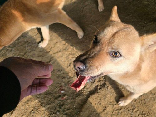 슬라이드 이미지