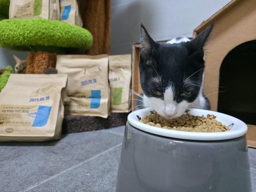 슬라이드 이미지