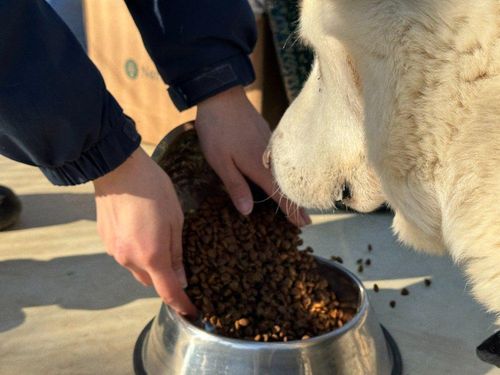 슬라이드 이미지