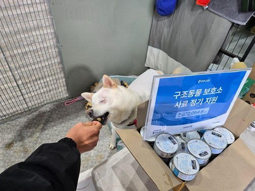 슬라이드 이미지