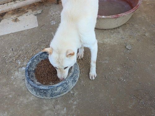 슬라이드 이미지