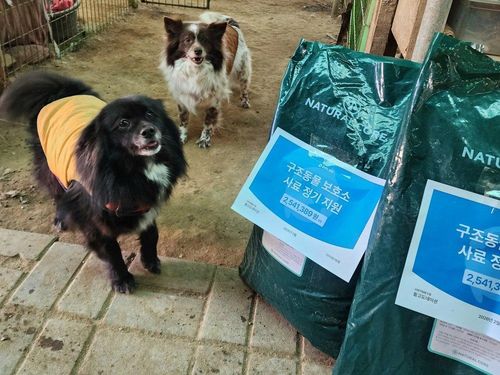 슬라이드 이미지