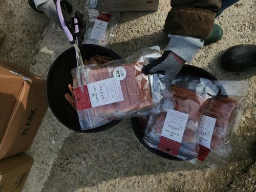 슬라이드 이미지