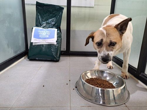 슬라이드 이미지