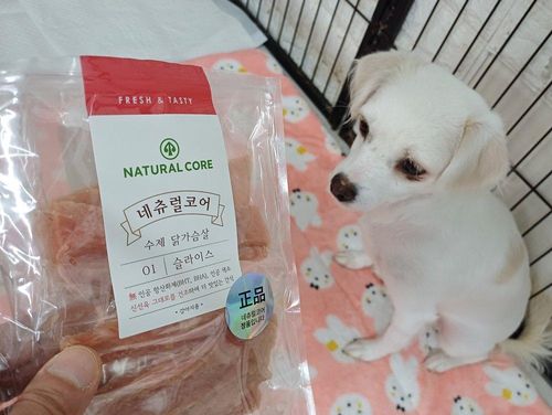 슬라이드 이미지