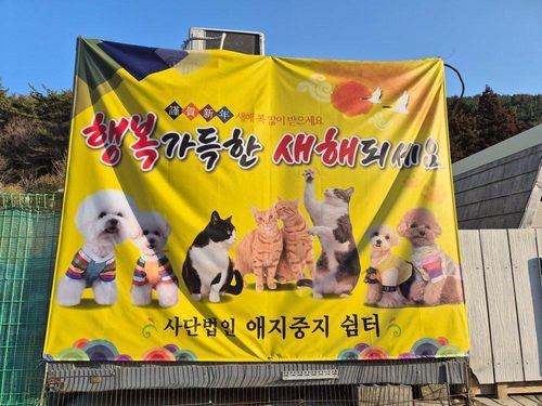 슬라이드 이미지