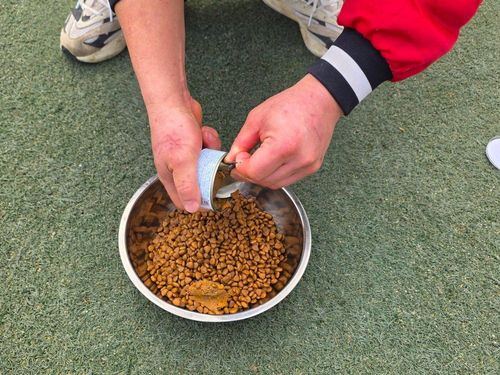 슬라이드 이미지