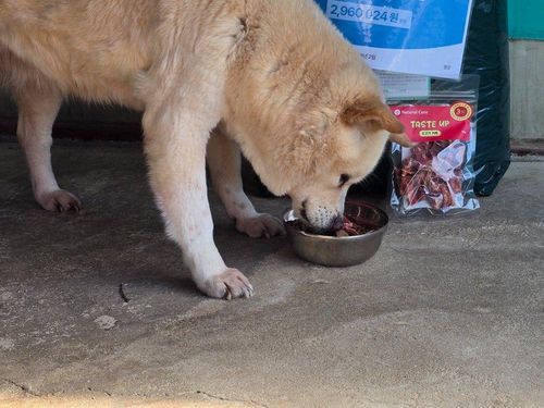 슬라이드 이미지