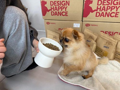 슬라이드 이미지