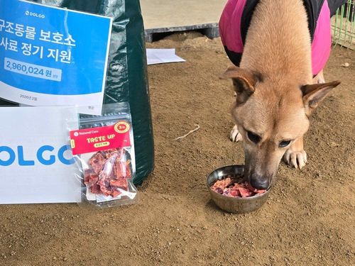 슬라이드 이미지