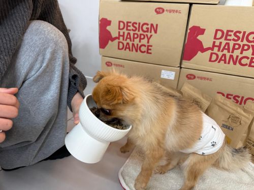 슬라이드 이미지