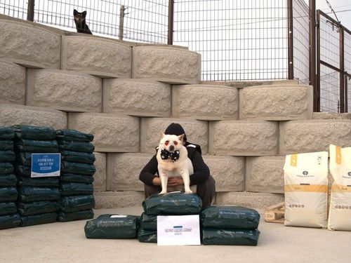 슬라이드 이미지