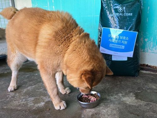 슬라이드 이미지