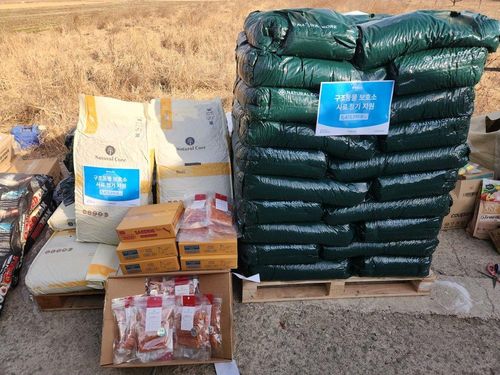 슬라이드 이미지