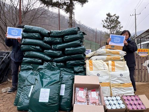 슬라이드 이미지