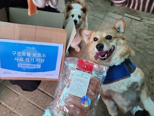 슬라이드 이미지