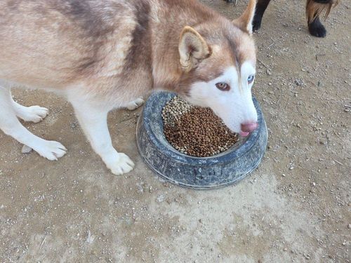 슬라이드 이미지