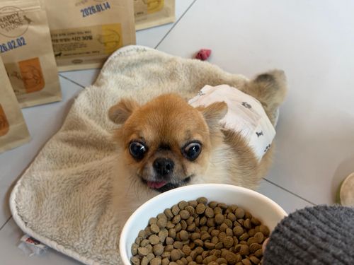 슬라이드 이미지