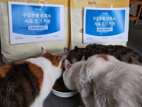 슬라이드 이미지