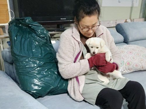 슬라이드 이미지