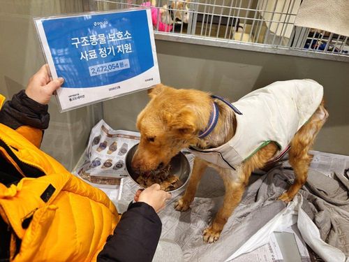 슬라이드 이미지