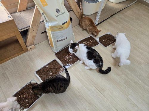 슬라이드 이미지