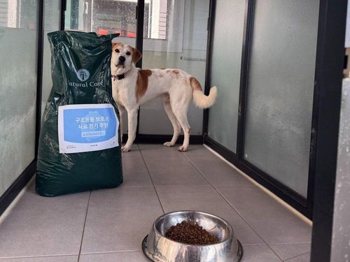 슬라이드 이미지