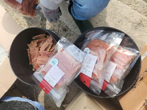 슬라이드 이미지