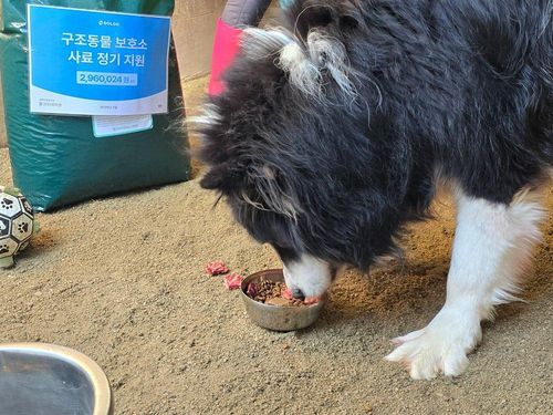 슬라이드 이미지