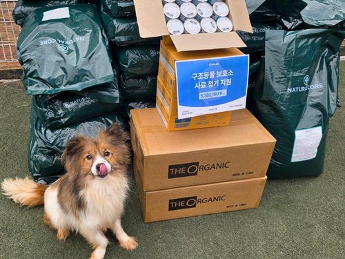 슬라이드 이미지