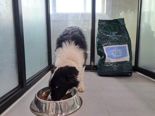 슬라이드 이미지