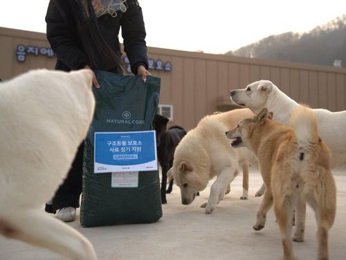 슬라이드 이미지