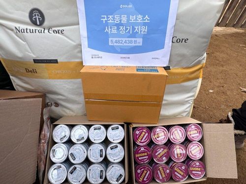 슬라이드 이미지