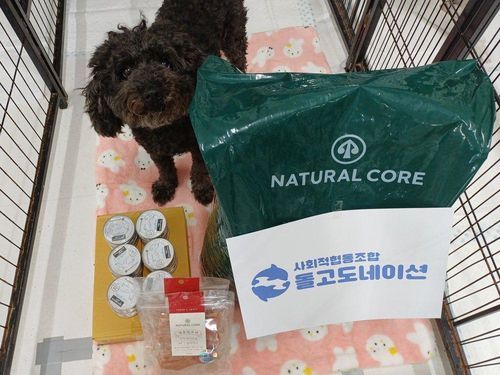 슬라이드 이미지