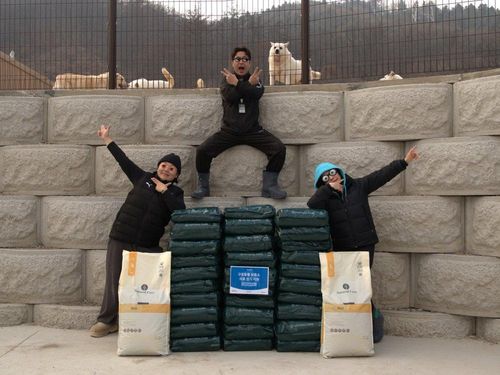 슬라이드 이미지