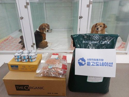 슬라이드 이미지