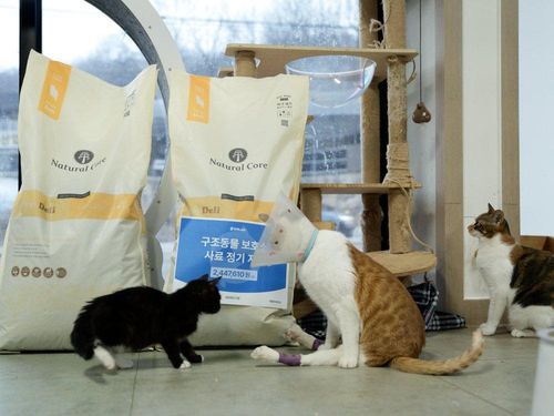 슬라이드 이미지