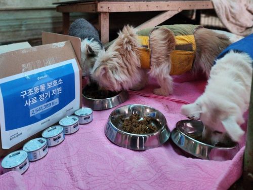 슬라이드 이미지