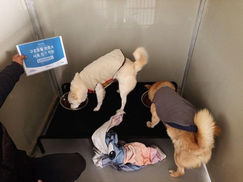 슬라이드 이미지