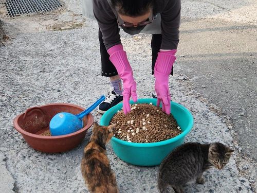 슬라이드 이미지