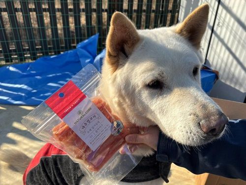 슬라이드 이미지